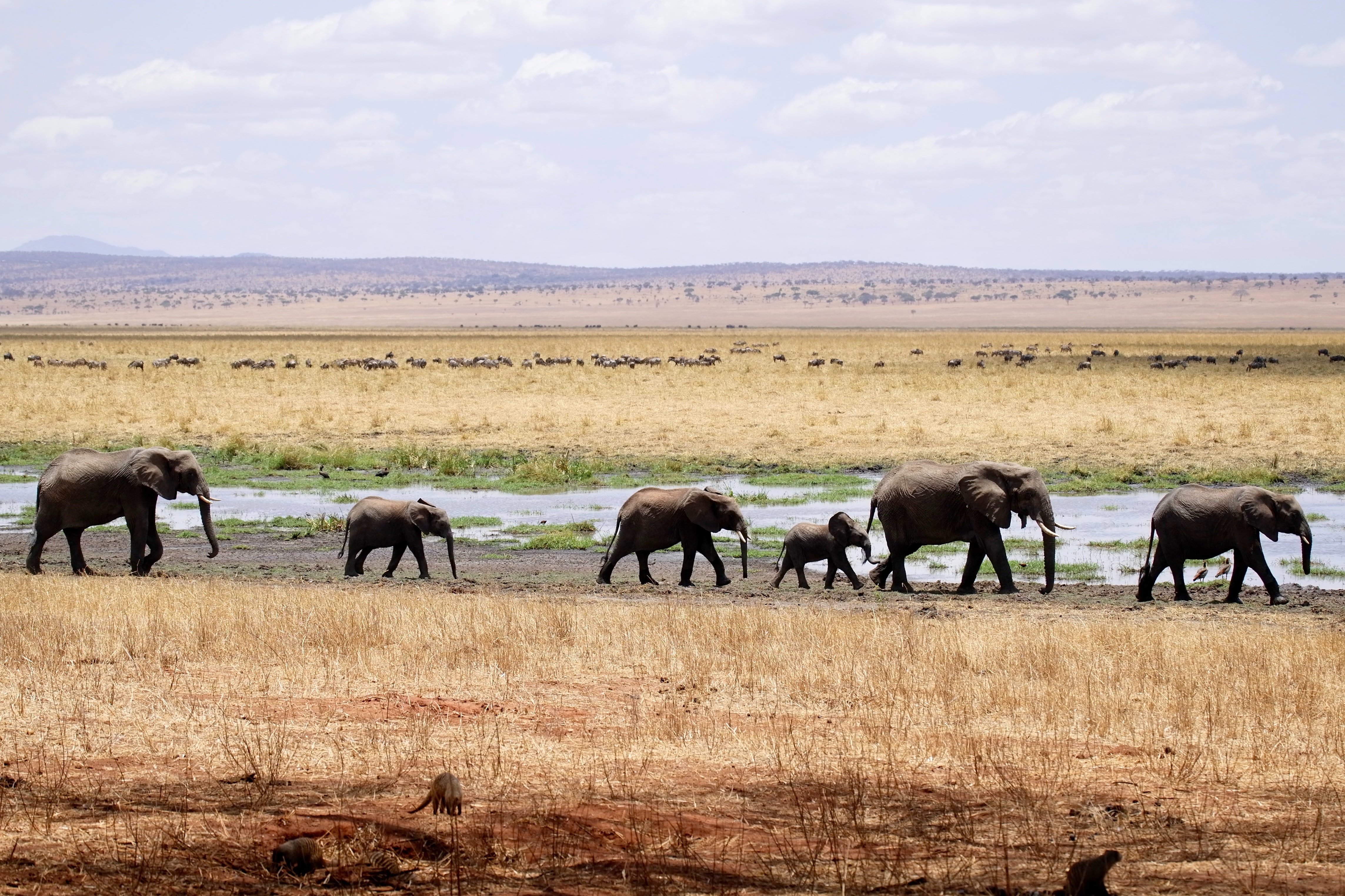 Der Zustand unseres Planeten: Dieses Jahrzehnt muss die Trendwende zu weniger Emissionen und Biodiversitätsverlust bringen Der Zustand unseres Planeten: Dieses Jahrzehnt muss die Trendwende zu weniger Emissionen und Biodiversitätsverlust bringen