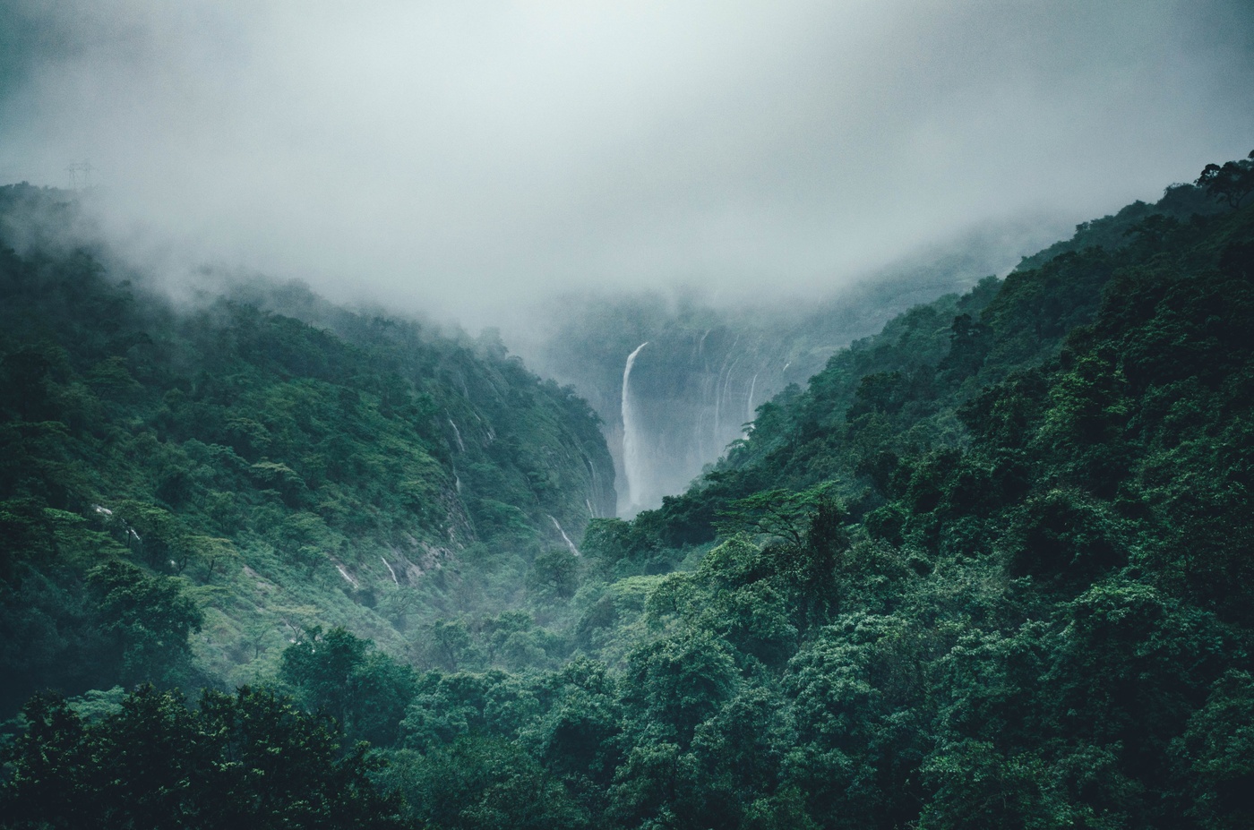 More rain, fewer droughts – rainfall effects from targeted forestation can reduce climate change